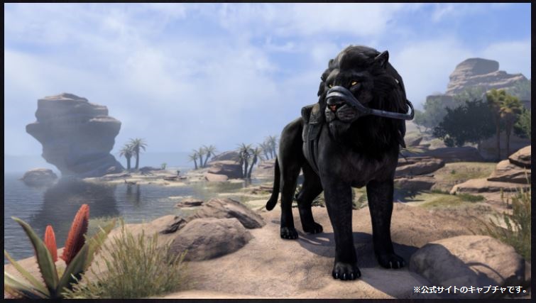 騎乗動物：Black Senche-Lion（ブラックセンチ・ライオン）