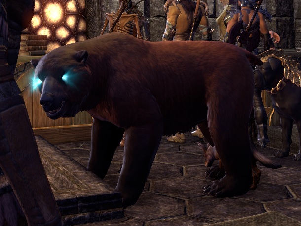 warden's bear
