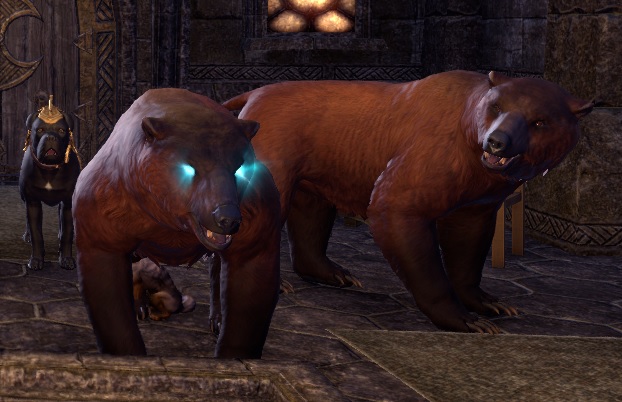warden's bears