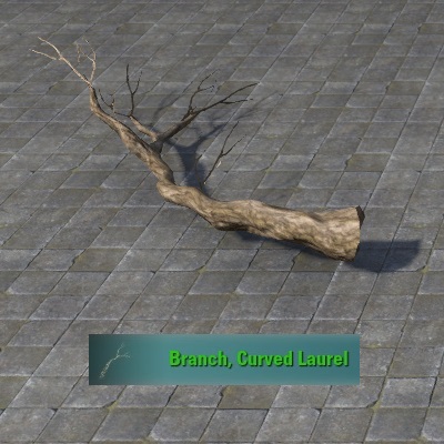Branch, Curved Laurel