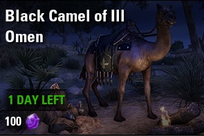 Black Camel of Ill Omen