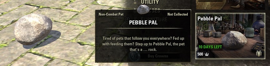 Pebble Pal （石の友）